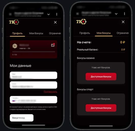 Личный кабинет в 7k Casino